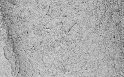 Dentis s-Clean SQ-SL, SEM