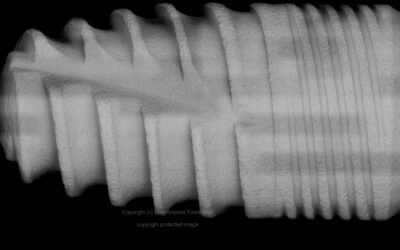 NucleOSS T6, Overview