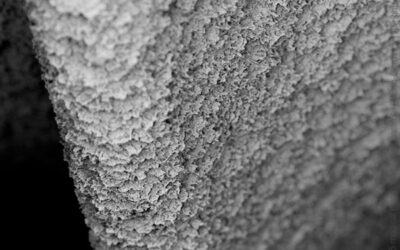 SLH DC Bone Level, Thread 500×